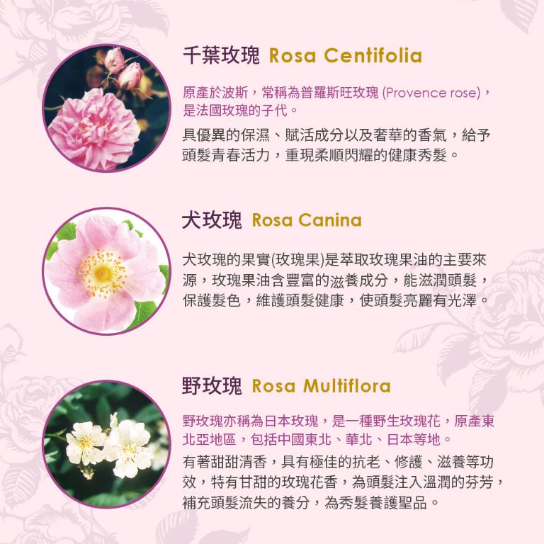 古典玫瑰 魅麗洗髮露 300ml