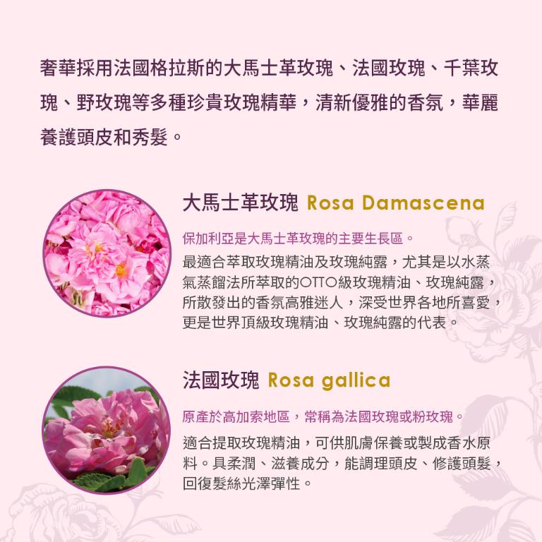 古典玫瑰 魅麗洗髮露 300ml