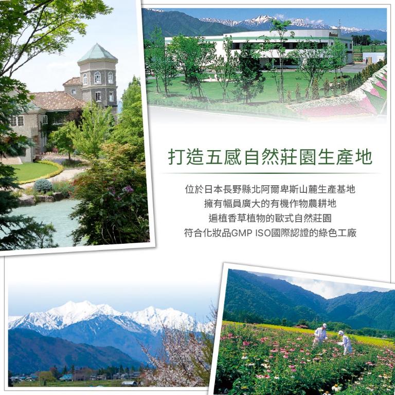 自然微風 紫錐花AC逆齡 洗髮護髮超值組