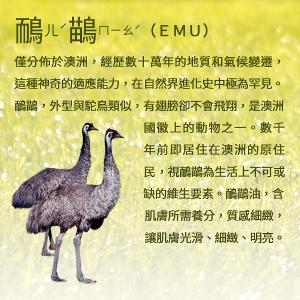 澳洲aqi 鴯鶓極潤潤膚霜250ml×3