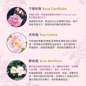 古典玫瑰 魅麗洗髮露 300ml