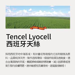 【美國寢之堡】 ICE西班牙天絲枕頭+床包式保潔墊 - 加大