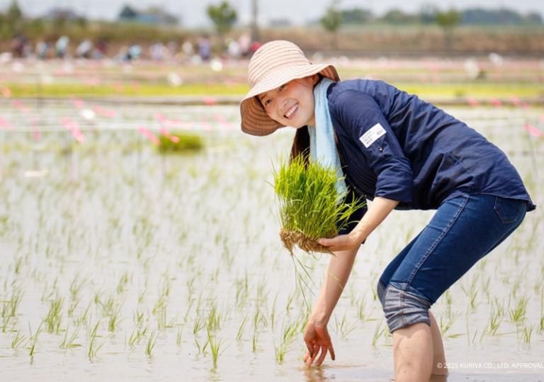 【日本栗屋】佐賀縣產夢滴米 300g