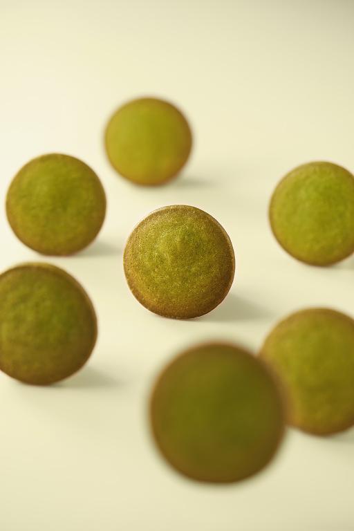 望月【春節限定】雜錦禮盒 蝴蝶酥及濃香曲奇 (36入)