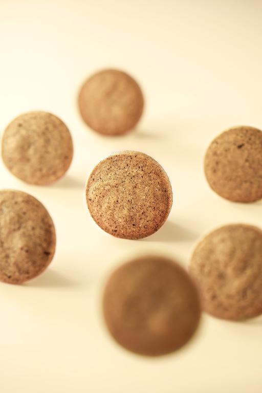 望月【春節限定】雜錦禮盒 蝴蝶酥及茶韻曲奇 (36入)