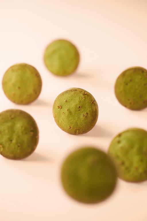 望月【春節限定】雜錦禮盒 蝴蝶酥及曲奇 (48入)