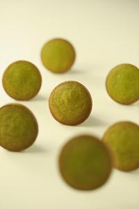 望月【春節限定】雜錦禮盒 蝴蝶酥及濃香曲奇 (36入)