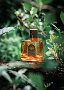 P Seven 台灣茶香水  Oolong Tea沁香  香水 66ml