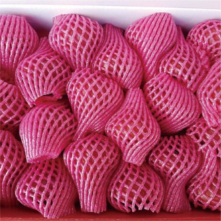 【佳冬鄉農會】黑珍珠精品蓮霧禮盒2KG