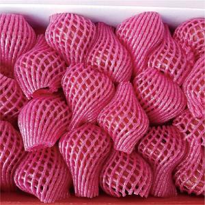 【佳冬鄉農會】黑珍珠精品蓮霧禮盒2KG