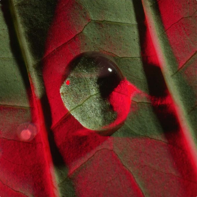 克蘭詩 全效緊緻眼霜 15ml