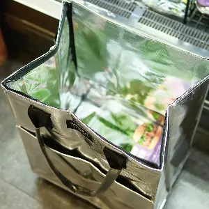 Honeymoon 折疊購物袋推車