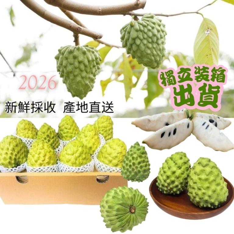 台東鳳梨釋迦禮盒 3公斤/6公斤