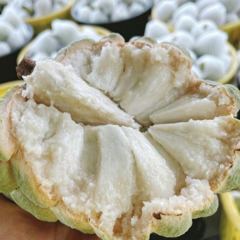 台東大目釋迦禮盒 3公斤/6公斤