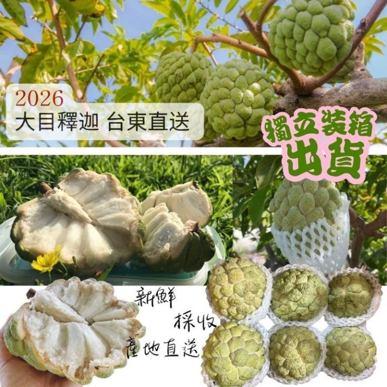 台東大目釋迦禮盒 3公斤/6公斤