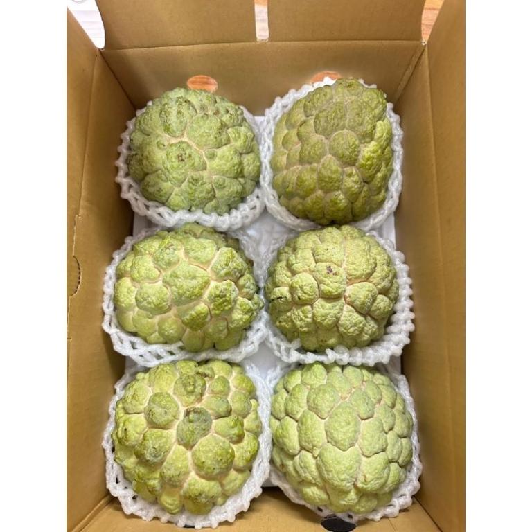 台東大目釋迦禮盒 3公斤/6公斤