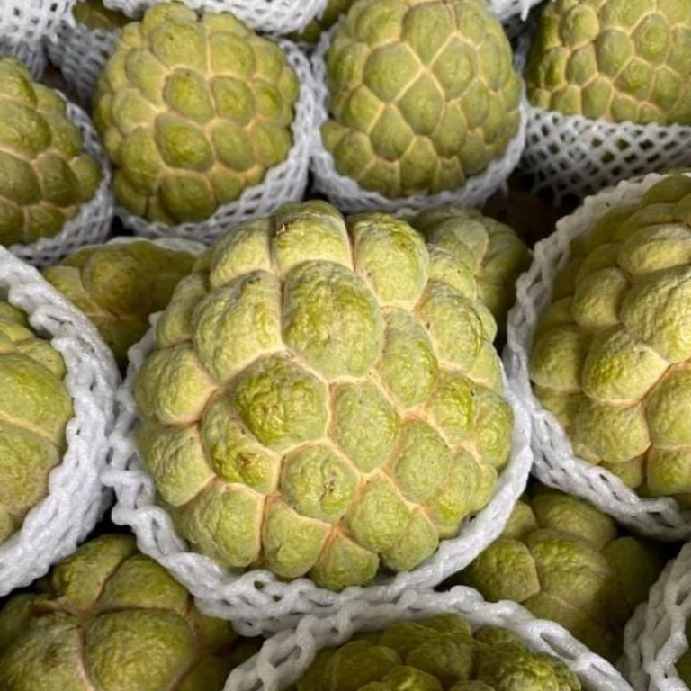 台東大目釋迦禮盒 3公斤/6公斤