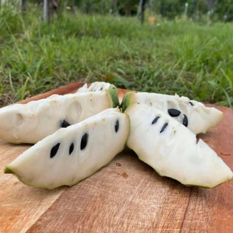 台東鳳梨釋迦禮盒 3公斤/6公斤