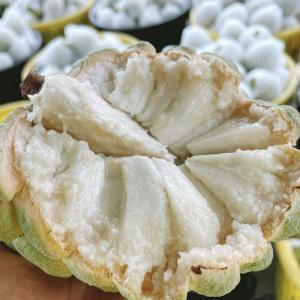 台東大目釋迦禮盒 3公斤/6公斤