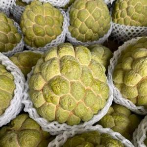 台東大目釋迦禮盒 3公斤/6公斤