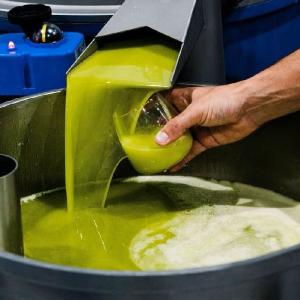 豆油伯 巴狄尼絲莊園頂級初榨橄欖油3000ml