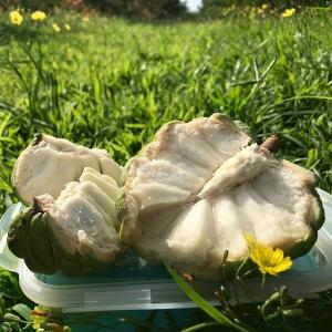 台東大目釋迦禮盒 3公斤/6公斤