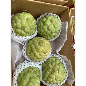 台東大目釋迦禮盒 3公斤/6公斤