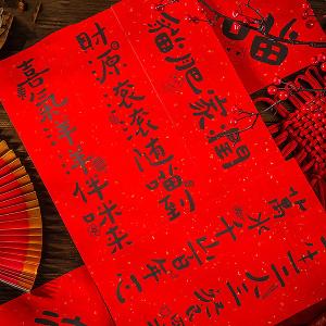 春節創意家用大門裝飾春聯_福照家門