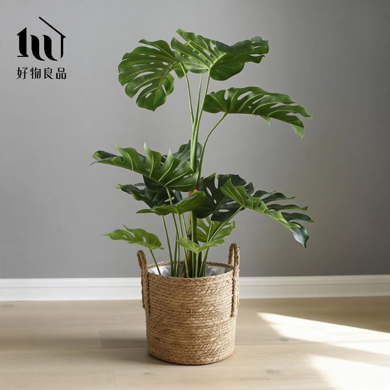 日本藤編植物盆栽籃｜防水內裏花盆套雙提手落地籃居家綠植收納