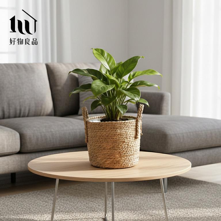 日本藤編植物盆栽籃｜防水內裏花盆套雙提手落地籃居家綠植收納