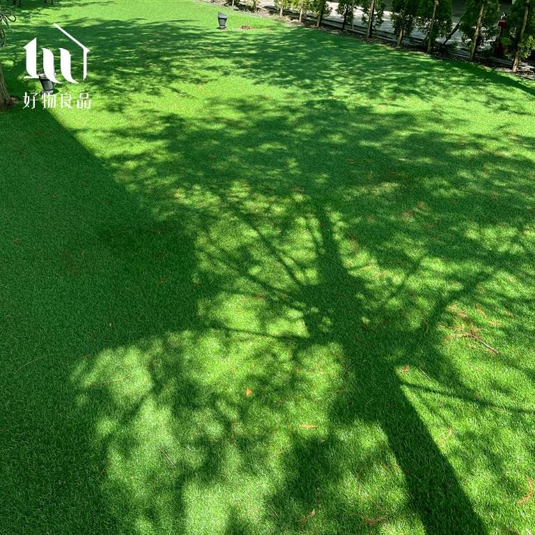 居家兒童遊戲墊戶外陽台草皮(無背膠)