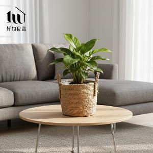 日本藤編植物盆栽籃|防水內裏花盆套雙提手落地籃居家綠植收納