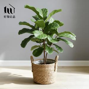 日本藤編植物盆栽籃|防水內裏花盆套雙提手落地籃居家綠植收納