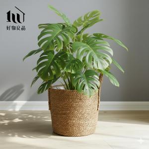 日本藤編植物盆栽籃|防水內裏花盆套雙提手落地籃居家綠植收納