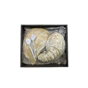 妙奇雅娜｜法式手工陶瓷｜貝殼碟禮盒 (附湯匙)