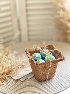 【線上報名繳費】新竹店-種子地球手作活動