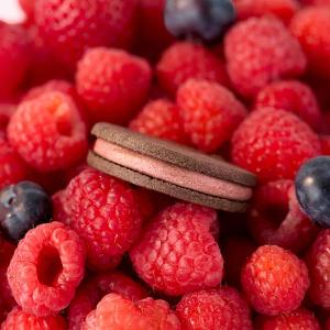 Jonquil 小圓餅/野莓醇厚可可(全素)