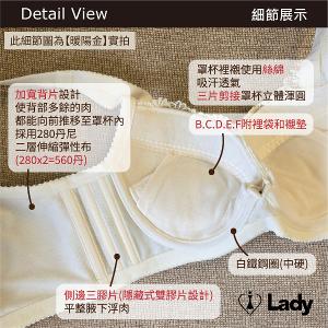 Lady 向暖敘情系列 B-G罩 機能 調整型 內衣 (暮影黑)