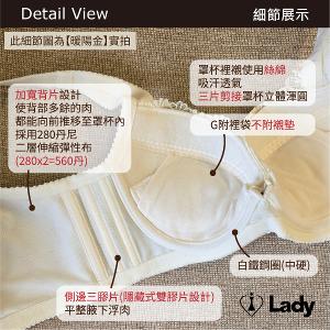 Lady 向暖敘情系列 B-G罩 機能 調整型 內衣 (暖陽金)