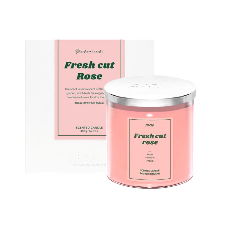 韓國PRAY 經典天然香氣蠟燭-清新玫瑰