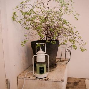 韓國PRAY 經典天然香氣蠟燭-柑橘鼠尾草