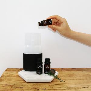 韓國PRAY 天然精油-尤加利葉/10ml