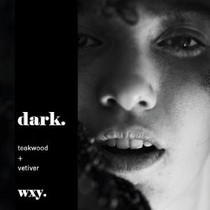 英國wxy 經典黑蠟燭-dark.柚木&岩蘭草/200g