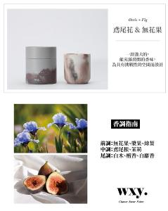 英國wxy Studio2 蠟燭-鳶尾花&無花果/170g