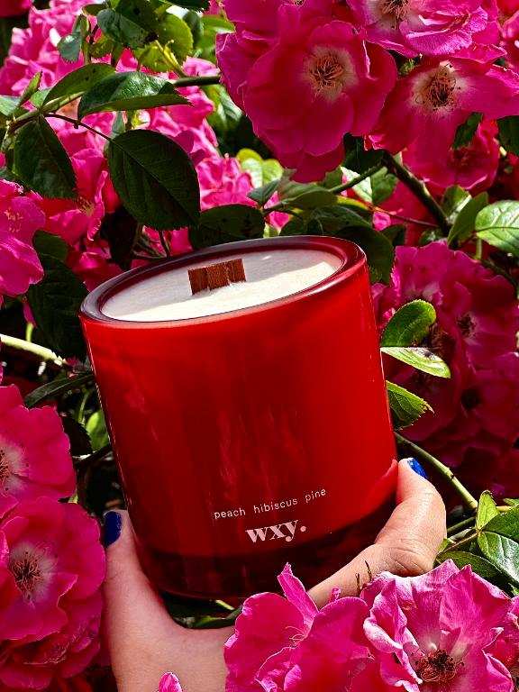 英國wxy Roam 漫遊蠟燭-盛夏花語/350g