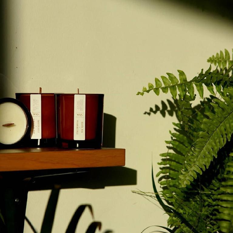 英國wxy Amber蠟燭-佛手柑油&竹