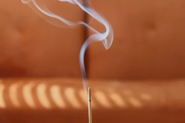 英國M&AElig;GEN 瑪薩拉線香-蕨