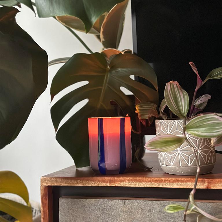 英國M&AElig;GEN Atina 玻璃杯蠟燭-黑醋栗&沉香/280g