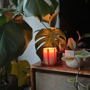 英國M&AElig;GEN Atina 玻璃杯蠟燭-橙花&羅勒/280g