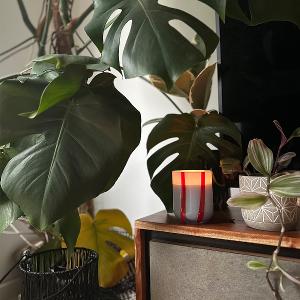 英國M&AElig;GEN Atina 玻璃杯蠟燭-番茄&薄荷/280g